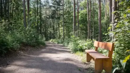 Foto von FriedWald Oberau