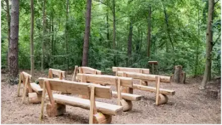 Foto von FriedWald Oberkrämer