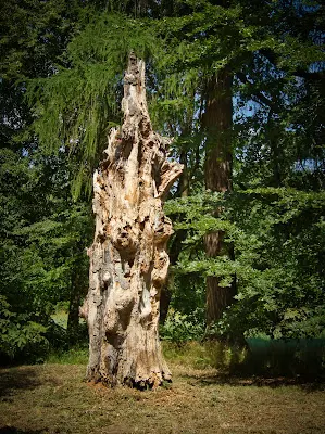 Foto von Friedwald Park Pansevitz