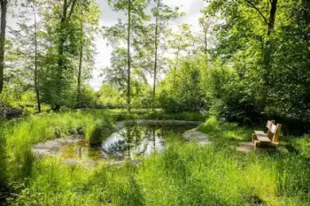 Foto von FriedWald Rheinau