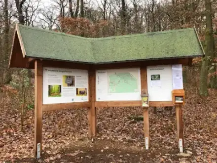 Foto von FriedWald Sangerhausen