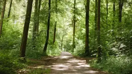 Foto von FriedWald Schwaigern