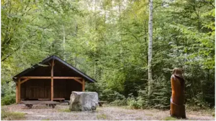 Foto von FriedWald Südharz