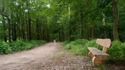 Foto von FriedWald Waldenburg