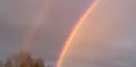 Foto von Gabriele Anna Franz, Freie Trauerrednerin