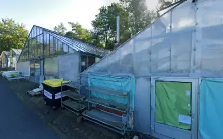 Foto von Gärtnerei und Bestattungen Füller