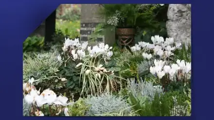 Foto von Großmann Bestattungen
