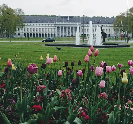 Foto von Grünflächen- und Bestattungswesen