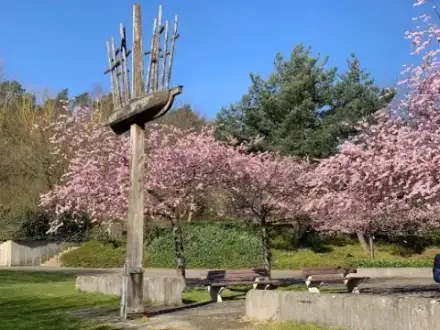 Foto von Hannelore Bergmann Bestattungen