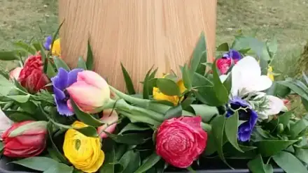 Foto von Hartmann Bestattungen und Grabpflege