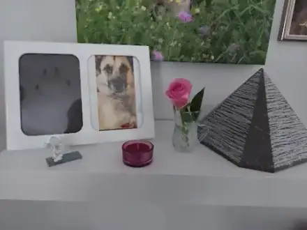 Haustierbestattung Romano & Naturstein Urnen Romano - 24 Std. Soforthilfe im Sterbefall