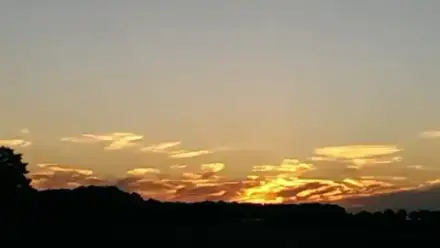 Foto von Kaumanns Bestattungen