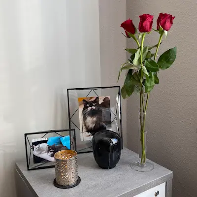 Foto von Kleintierbestattung Emily Tierbestattung