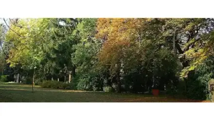 Foto von Kommunales Bestattungshaus der Stadt Chemnitz