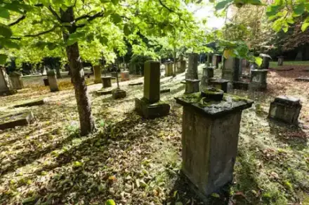 Foto von Landeshauptstadt Stuttgart, Garten-, Friedhofs- und Forstamt