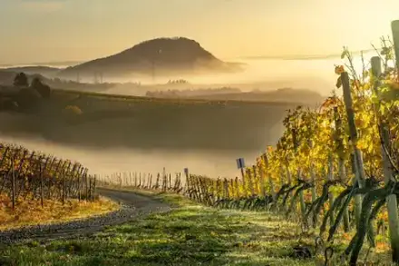 Foto von Landskroner Bestattungshaus Schaefer Bad Neuenahr