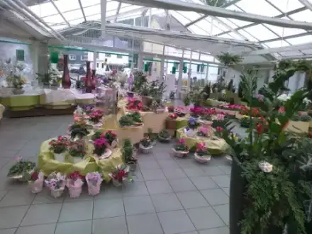 Foto von Luy Bestattungen