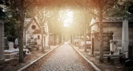 Foto von Mann Bestattungen