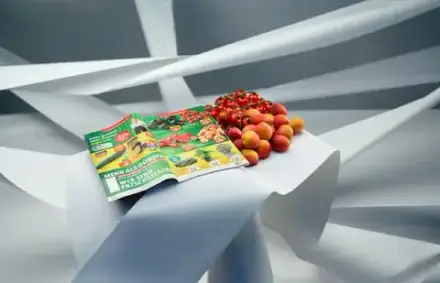 Foto von Maxauer Papierfabrik GmbH