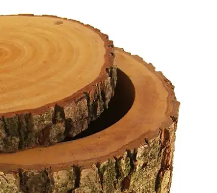 Foto von Mementi Urnen