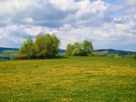 Foto von Montes Mariani