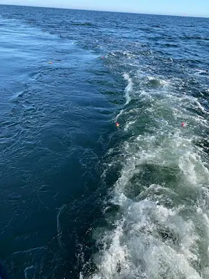 Foto von MS Mira – Deutsche See-Bestattungs-Genossenschaft e.G.