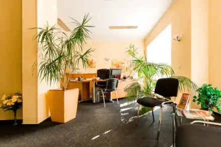 Foto von Münzel - Bestattungen