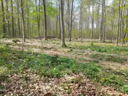 Foto von NATURA Tierbestattungen & Service