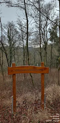 Foto von naturnahe Bestattung