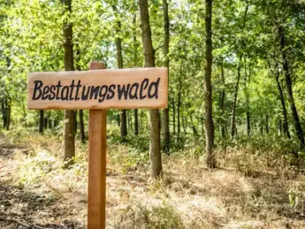 Foto von Naturruhe Friedewald GmbH