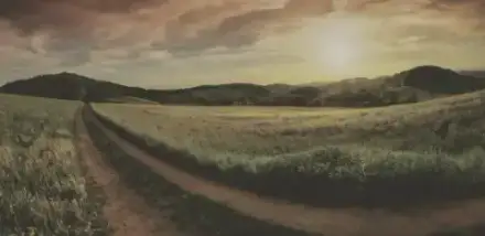 Foto von November | Vorsorge & Bestattungen - Augsburg