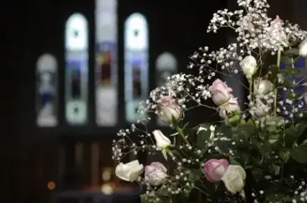 Foto von Omega by Fischer Bestattungen GmbH