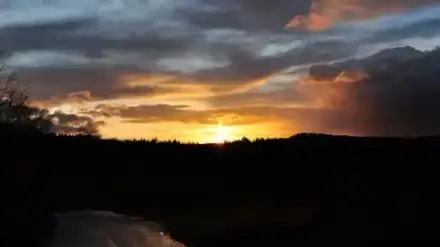 Foto von Pietät Henrici (Neu-Anspach)