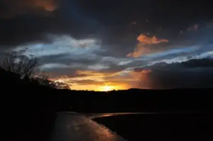 Foto von Pietät Herbst