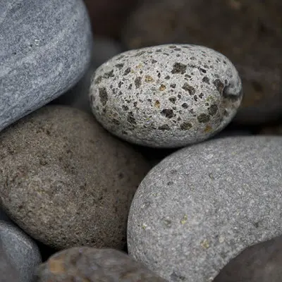 Foto von Pütz-Roth Bestattungen und Trauerbegleitung oHG