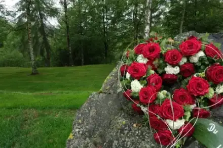 Foto von Rheinhöhen-Ruhewald Braubach Dachsenhausen