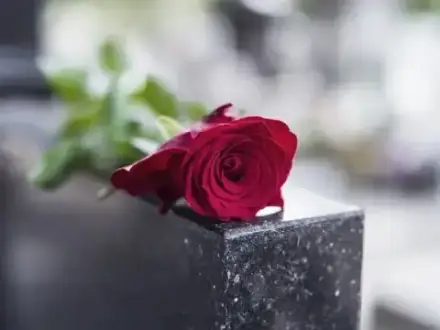 Foto von Rose Bestattungen