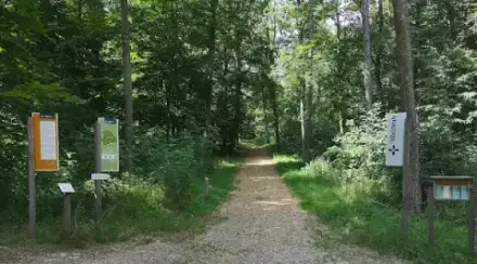 Foto von RUHEBAUM Harburg - Bestattungswald