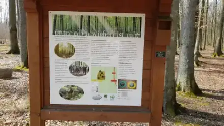 Foto von Ruheforst Abtshagen