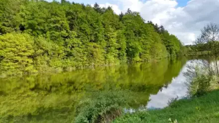 Foto von RuheForst Bad Driburg