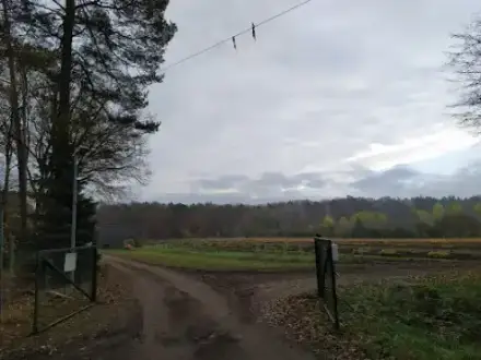 Foto von RuheForst Eberswalde