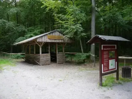 Foto von Ruheforst Erbach