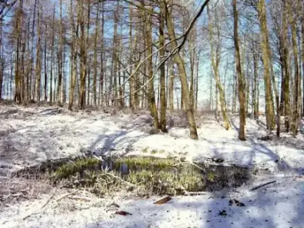 Foto von Ruhepark Lehmkuhlen