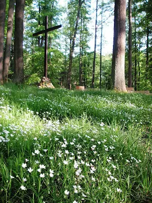 Foto von Ruhewald Frankenhöhe