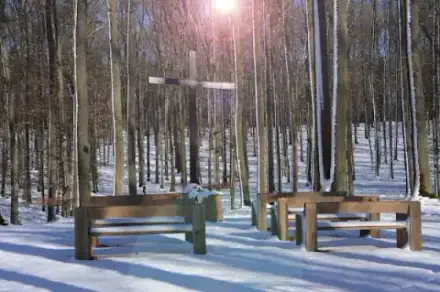 Foto von Ruhewald Frankenhöhe Verwaltung