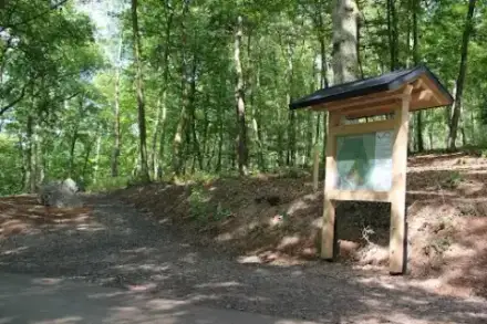 Foto von Ruhewald Hallenberg