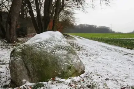 Foto von Ruhewald Hennef