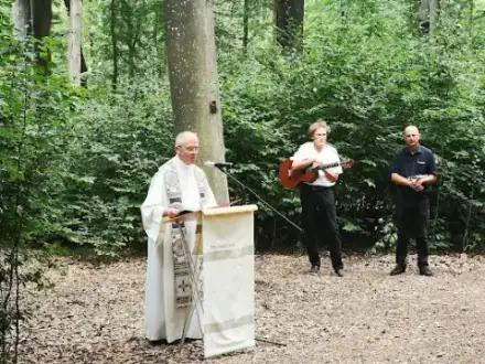 Foto von Ruhewald Naturbestattung Greußenheim