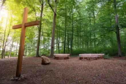 Foto von Ruhewald Nottensdorf