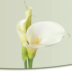 Foto von Schallock Bestattungen